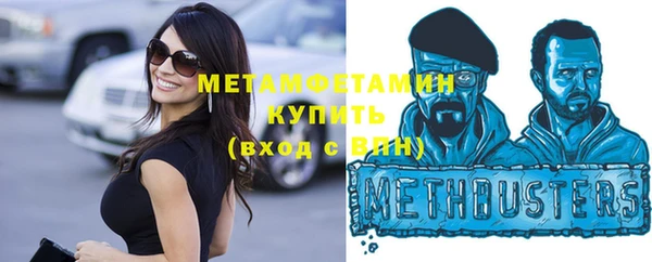 гидра Белокуриха