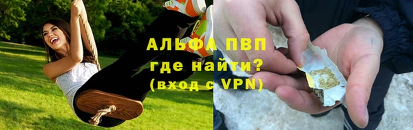 гидра Белокуриха