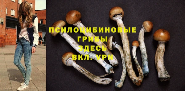 гидра Белокуриха