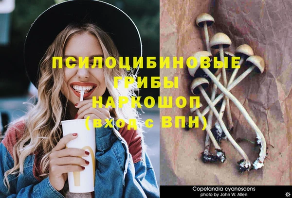 гидра Белокуриха