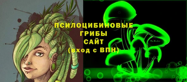 ГАЛЛЮЦИНОГЕННЫЕ ГРИБЫ Осинники