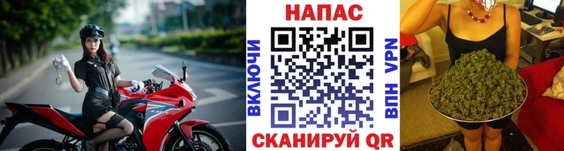 Бошки Шишки сатива  дарнет шоп  Шадринск 
